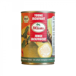 Buy Biona Organic Jackfruit Yellow Thai Curry