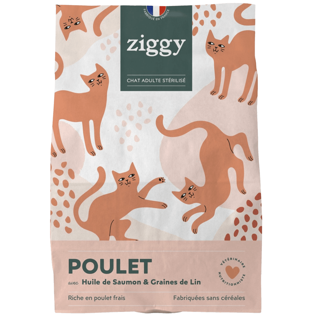 Croquettes Chat Sans Céréales - Poulet – Ziggy