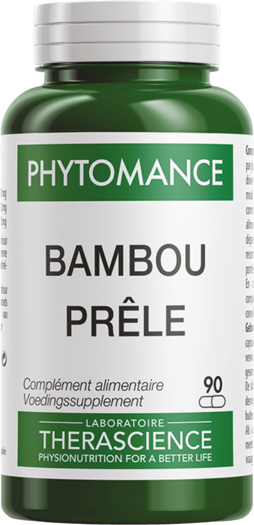 Phytomance Bambou Prêle