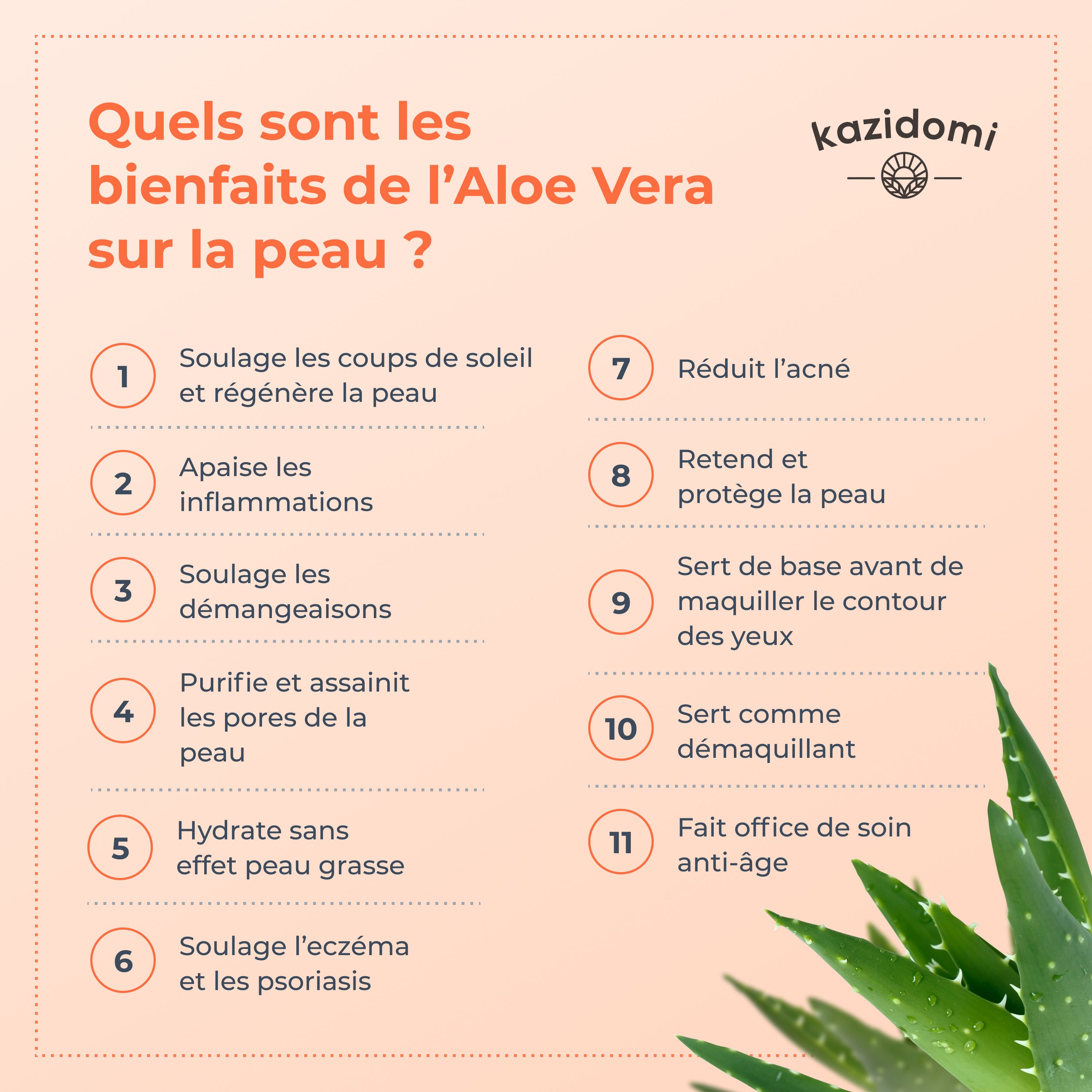 SANTÉ : Remèdes à base d'aloe vera pour augmenter le niveau de plaquettes -  Le Soir Santé : Le Soir d'Algérie